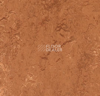 Линолеум Forbo Marmoleum Marbled Real 2767 Rust фото 1 | FLOORDEALER